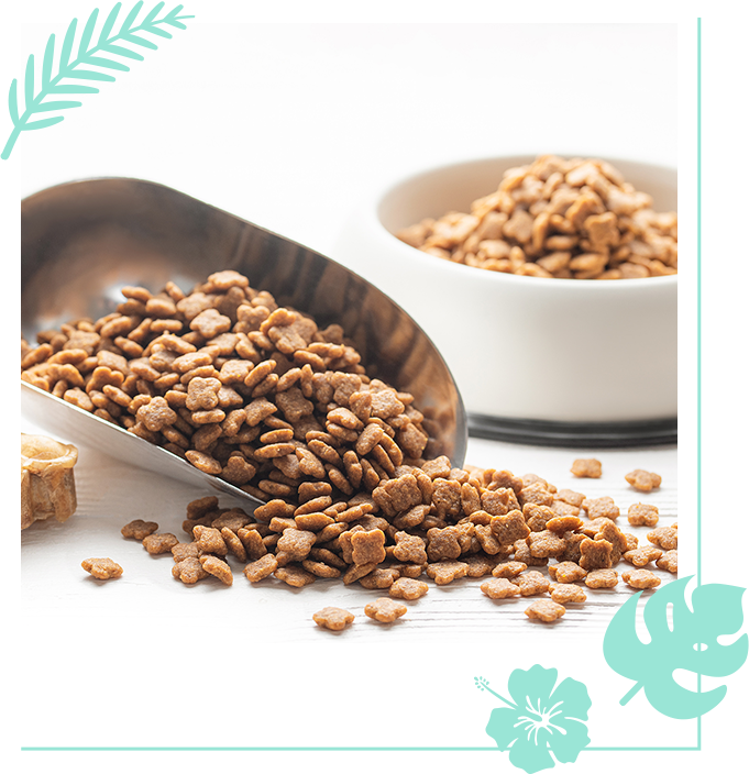 オンラインショップ